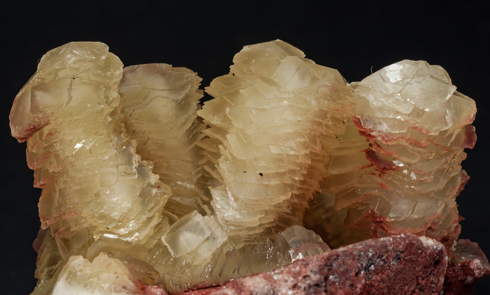 specimens/s_imagesAO8/Calcite-TFM87AO8d.jpg