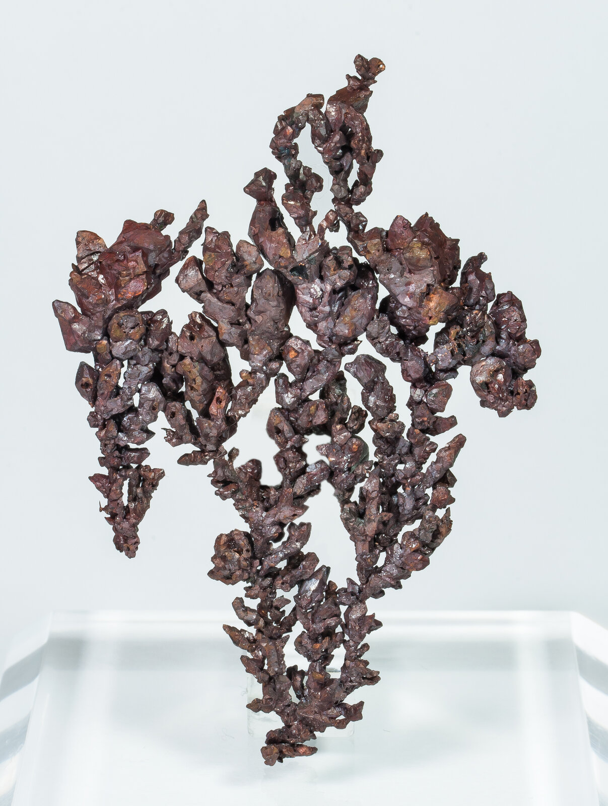 specimens/s_imagesAO8/Cuprite-NFR66AO8r.jpg