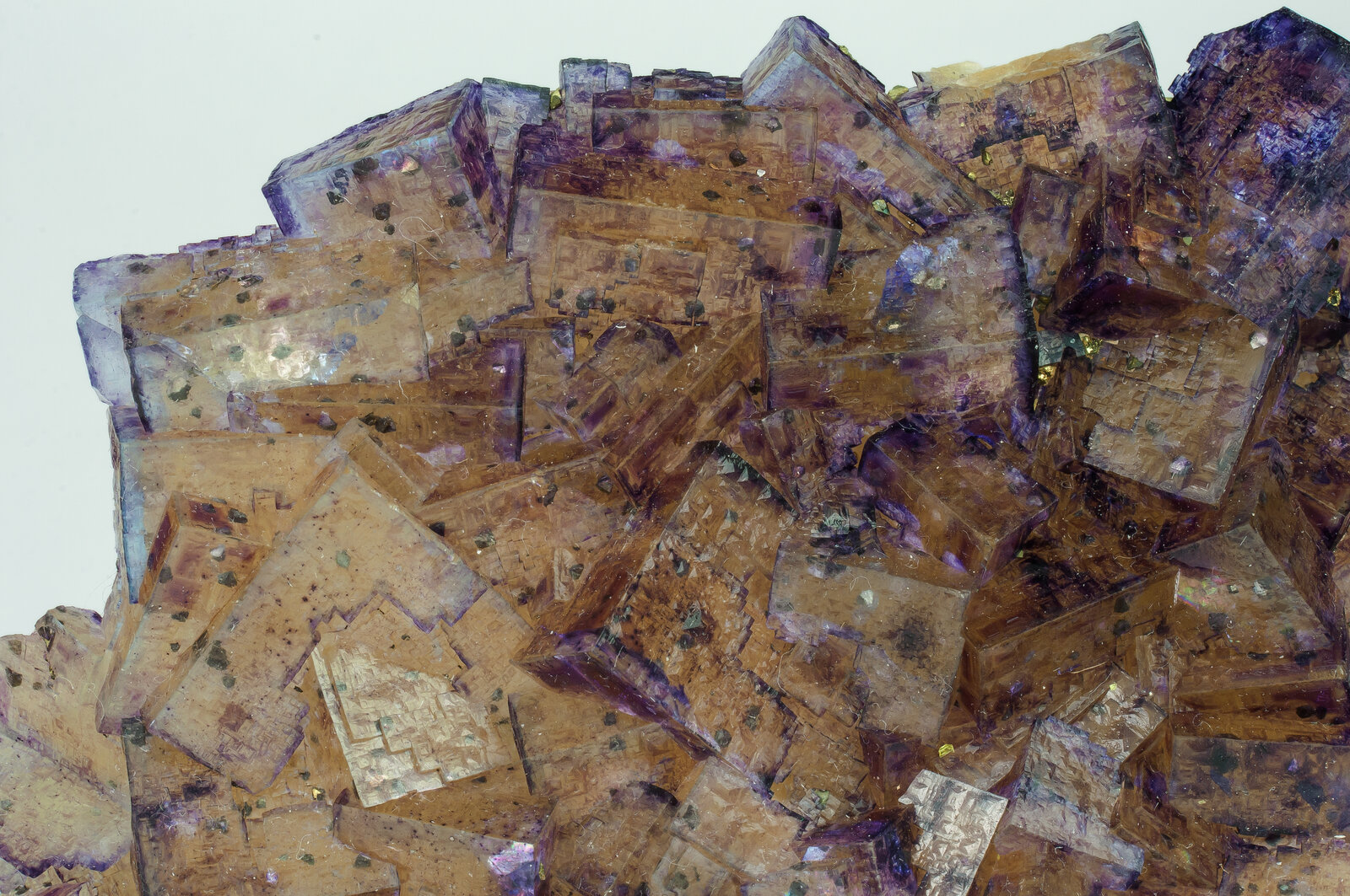 specimens/s_imagesAO8/Fluorite-BRB37AO8d.jpg