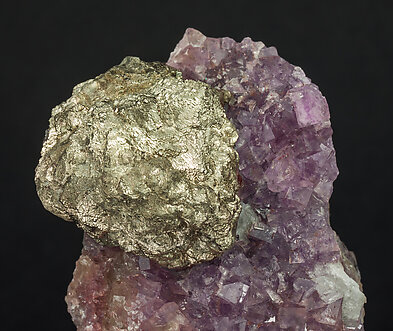 Pyrite on Fluorite. 