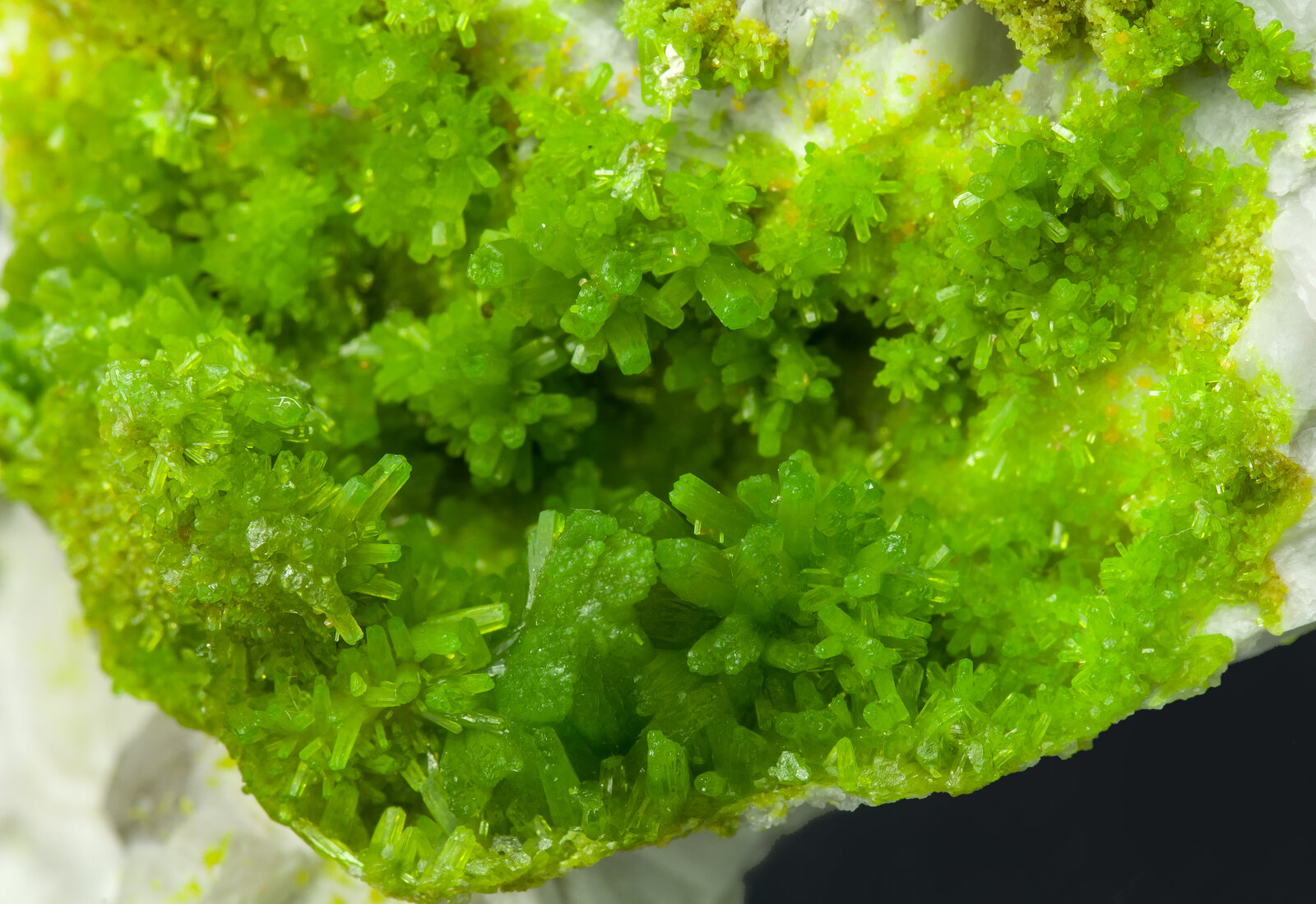 specimens/s_imagesAO8/Pyromorphite-BFL57AO8d2.jpg