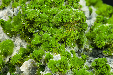 Pyromorphite on Quartz. 