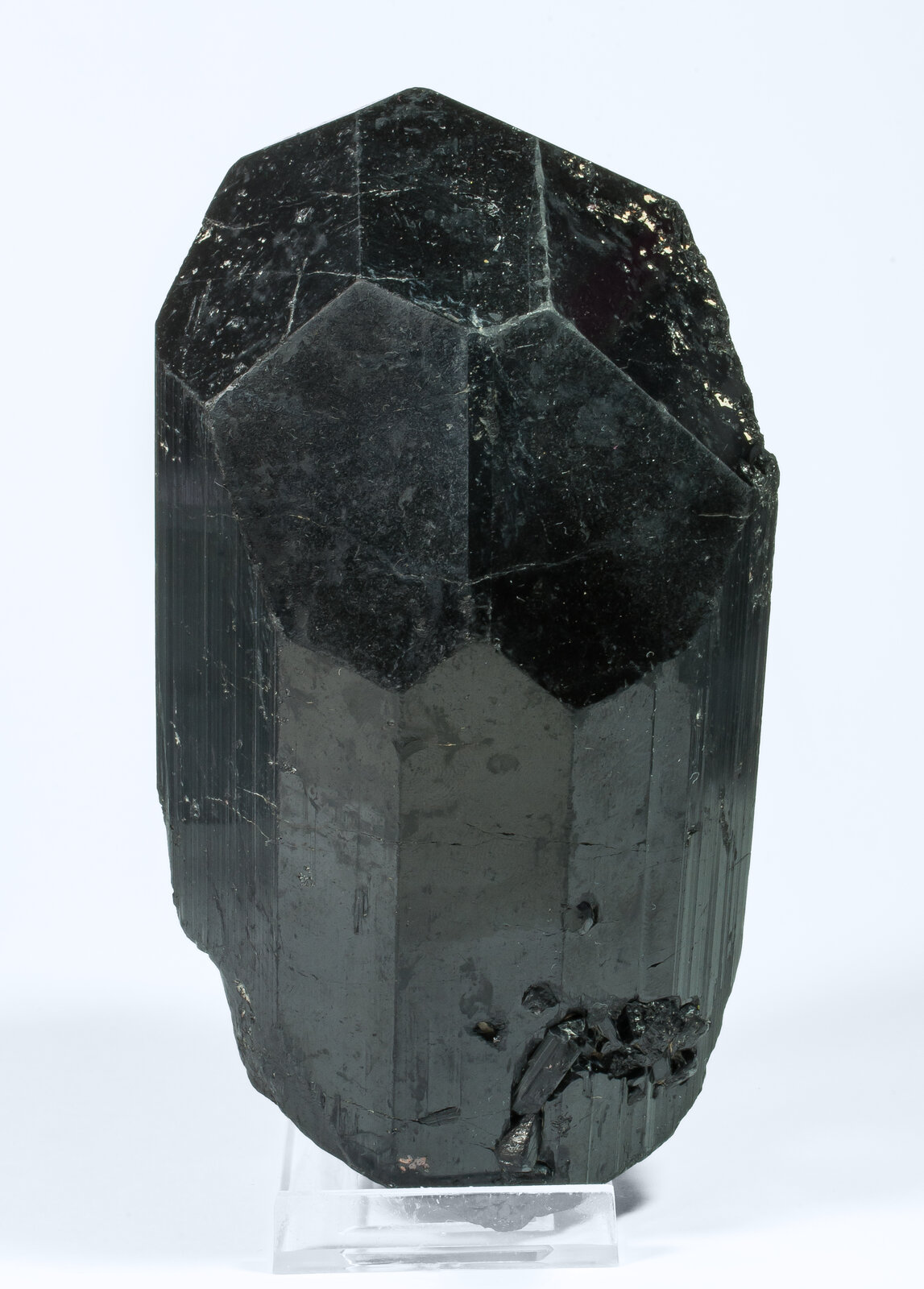 specimens/s_imagesAO8/Schorl-TRF51AO8f.jpg