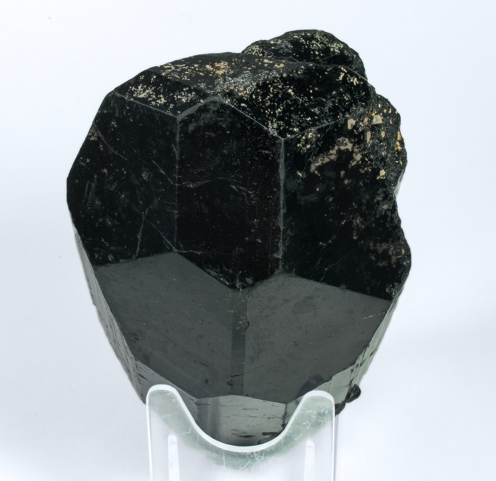 specimens/s_imagesAO8/Schorl-TRF51AO8t.jpg