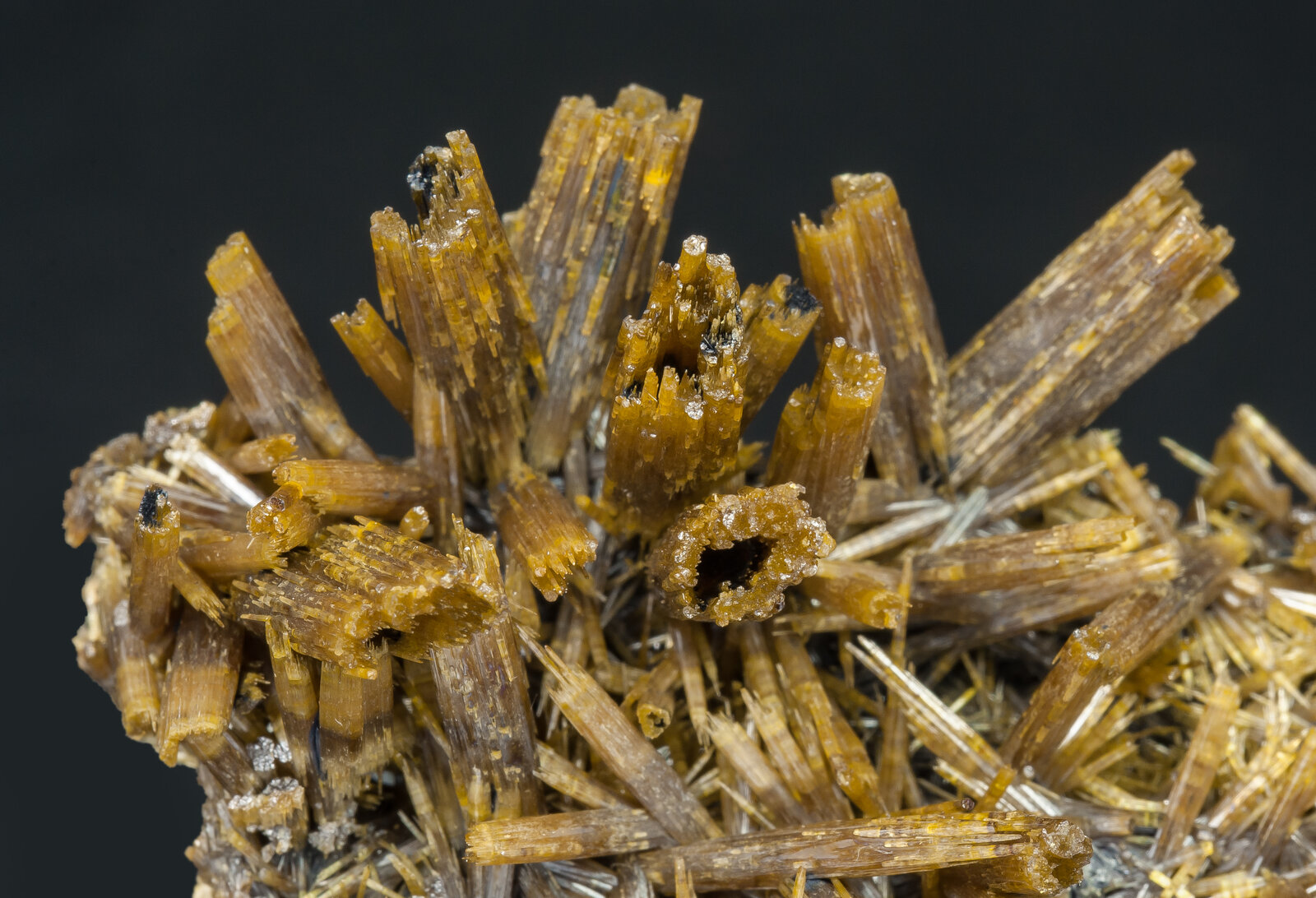 specimens/s_imagesAO8/Vanadinite-EGR66AO8d.jpg