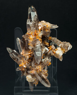 Zircon with Quartz (variety smoky), Orthoclase and Aegirine. 