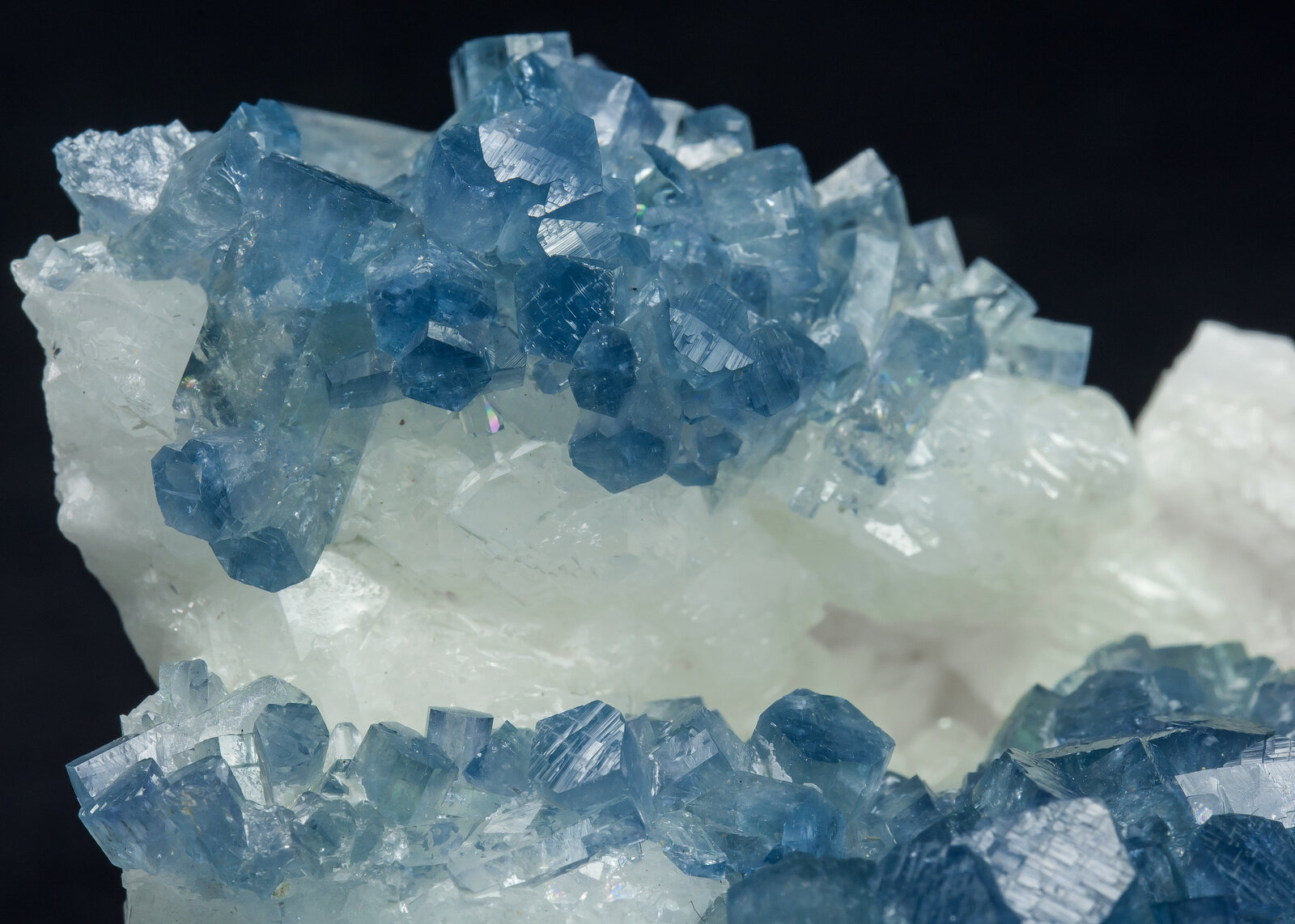 specimens/s_imagesAO9/Celestine-EGH87AO9d.jpg
