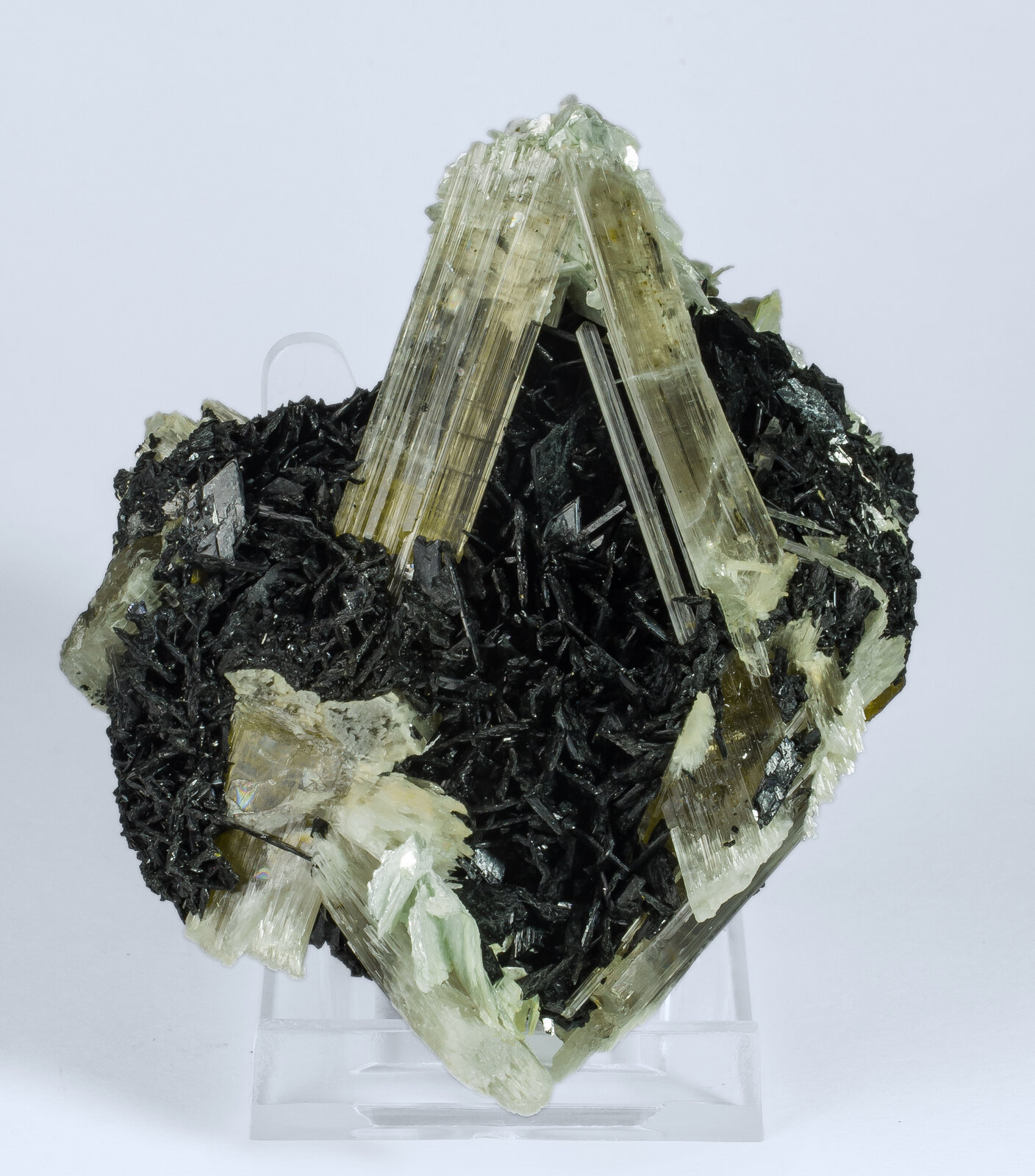 specimens/s_imagesAO9/Diaspore-ELR87AO9f.jpg