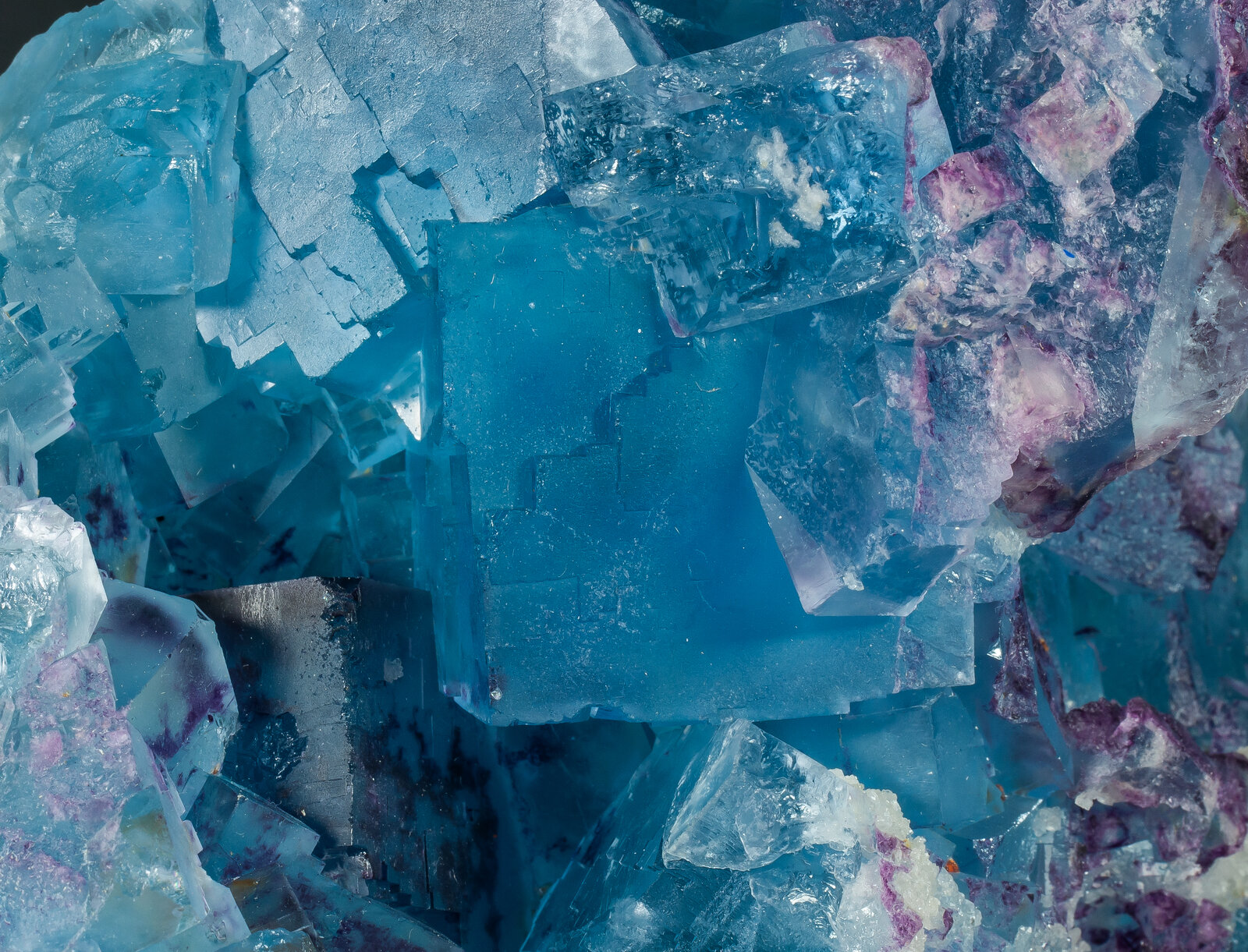 specimens/s_imagesAO9/Fluorite-EXL66AO9d.jpg