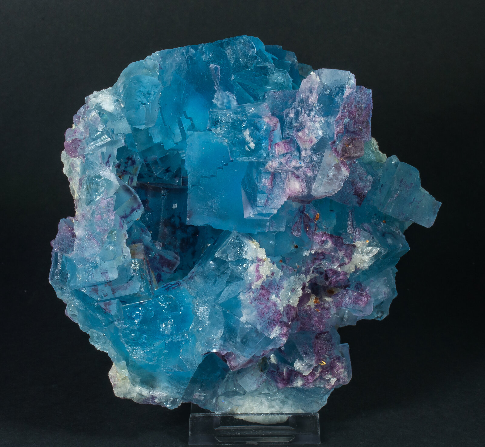 specimens/s_imagesAO9/Fluorite-EXL66AO9f.jpg