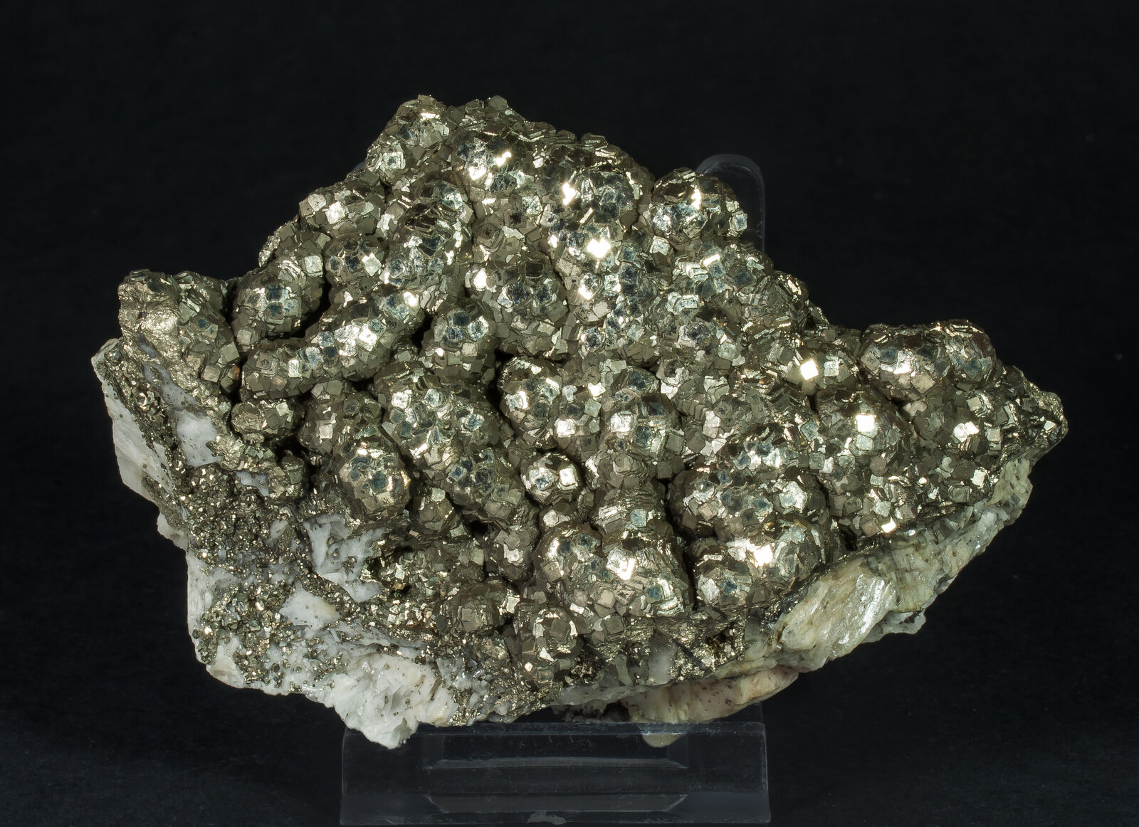 specimens/s_imagesAO9/Pyrite-ERR26AO9f.jpg