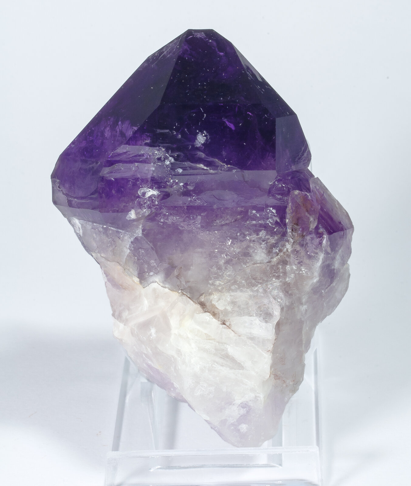 specimens/s_imagesAO9/Quartz_amethyst-EFM47AO9r.jpg