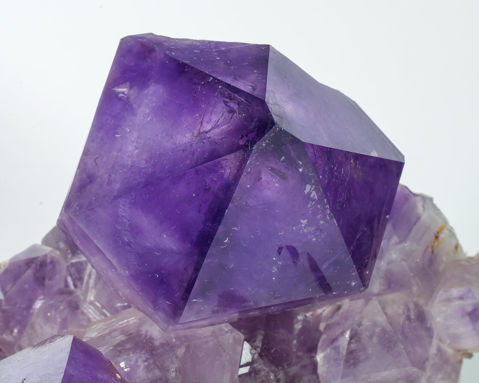 specimens/s_imagesAO9/Quartz_amethyst-ERB72AO9d.jpg