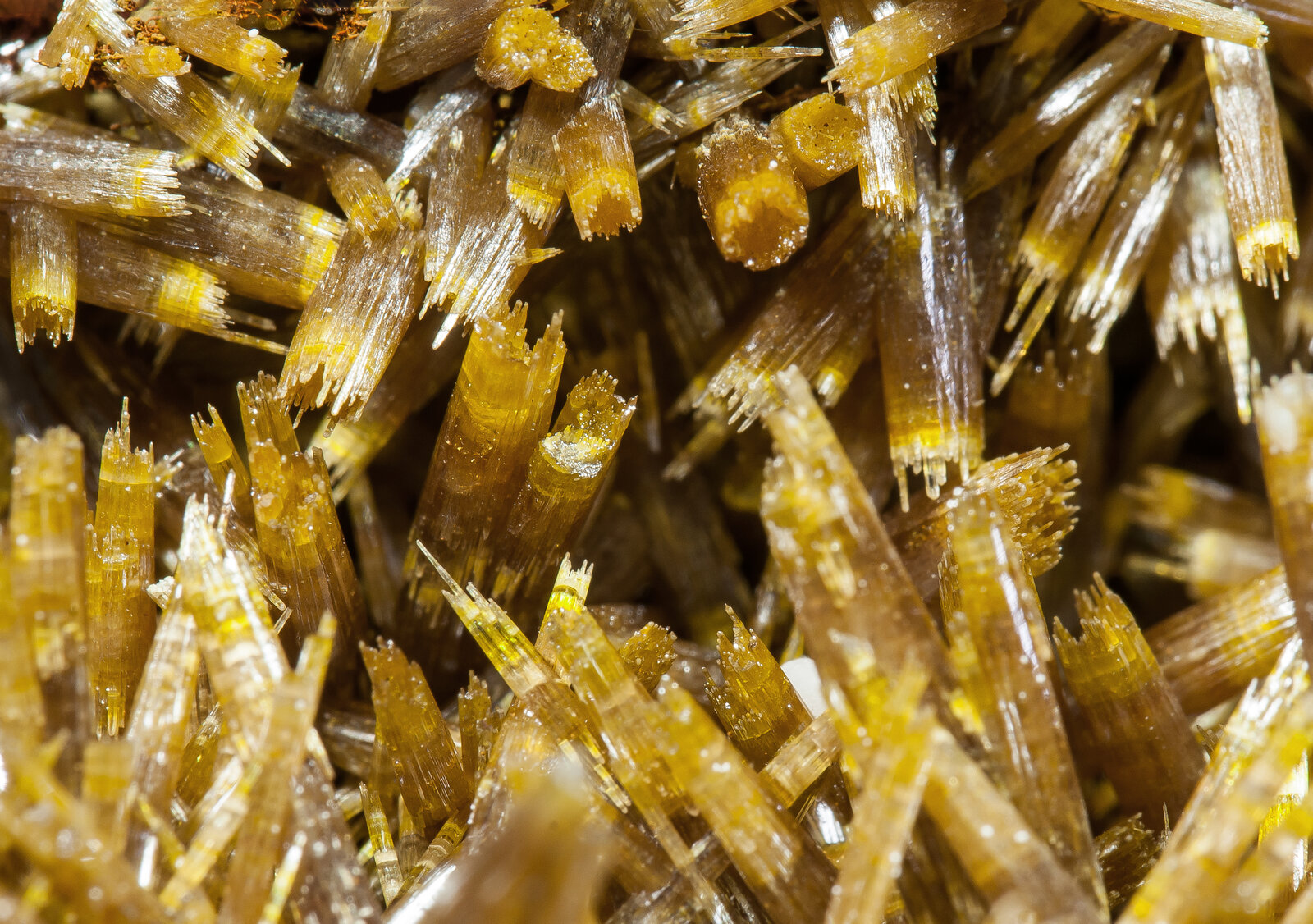 specimens/s_imagesAO9/Vanadinite-ERF51AO9d.jpg