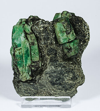 Beryl (variety emerald) with Phlogopite. Rear