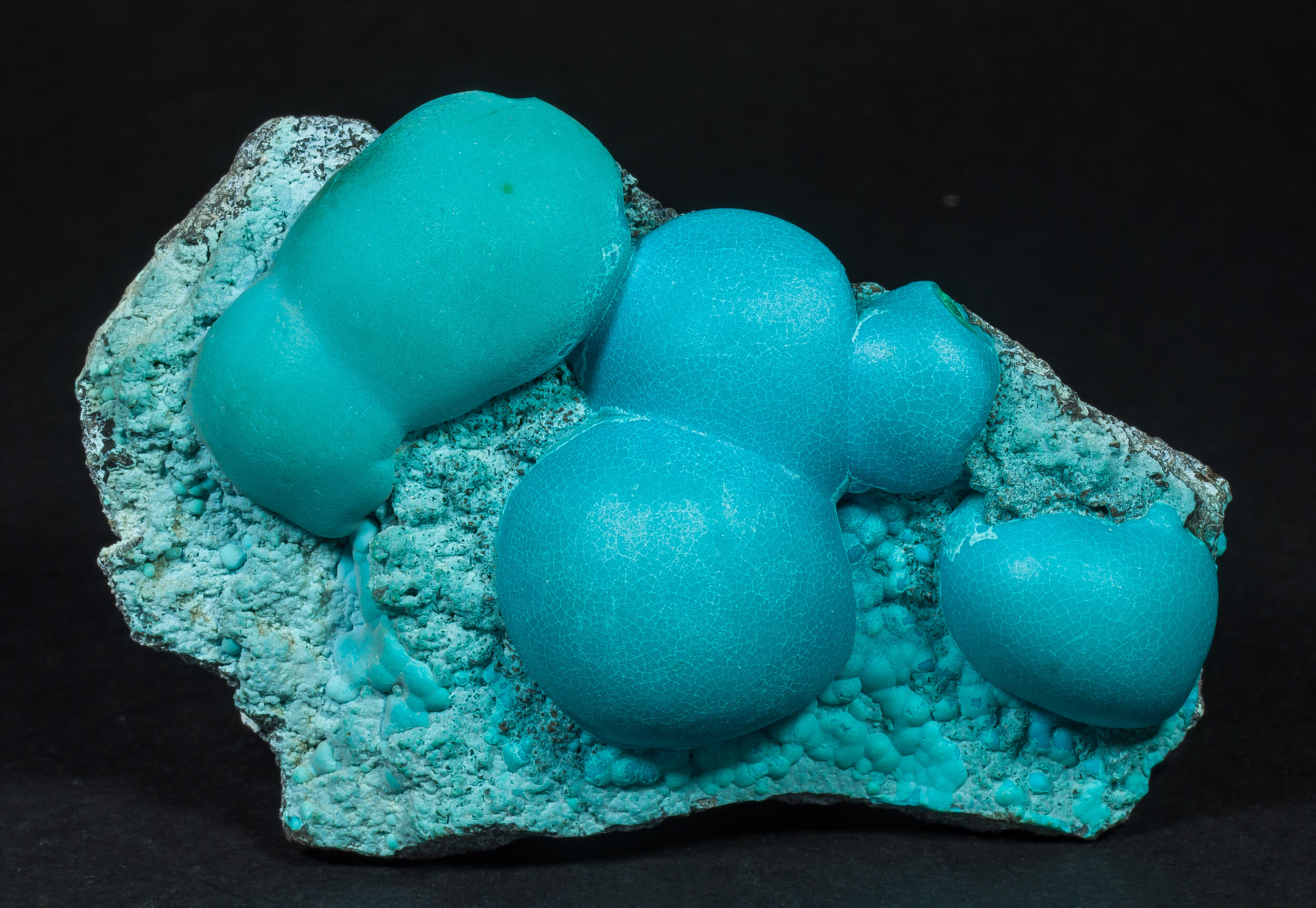 specimens/s_imagesAP0/CHrysocolla-ELP69AP0f.jpg