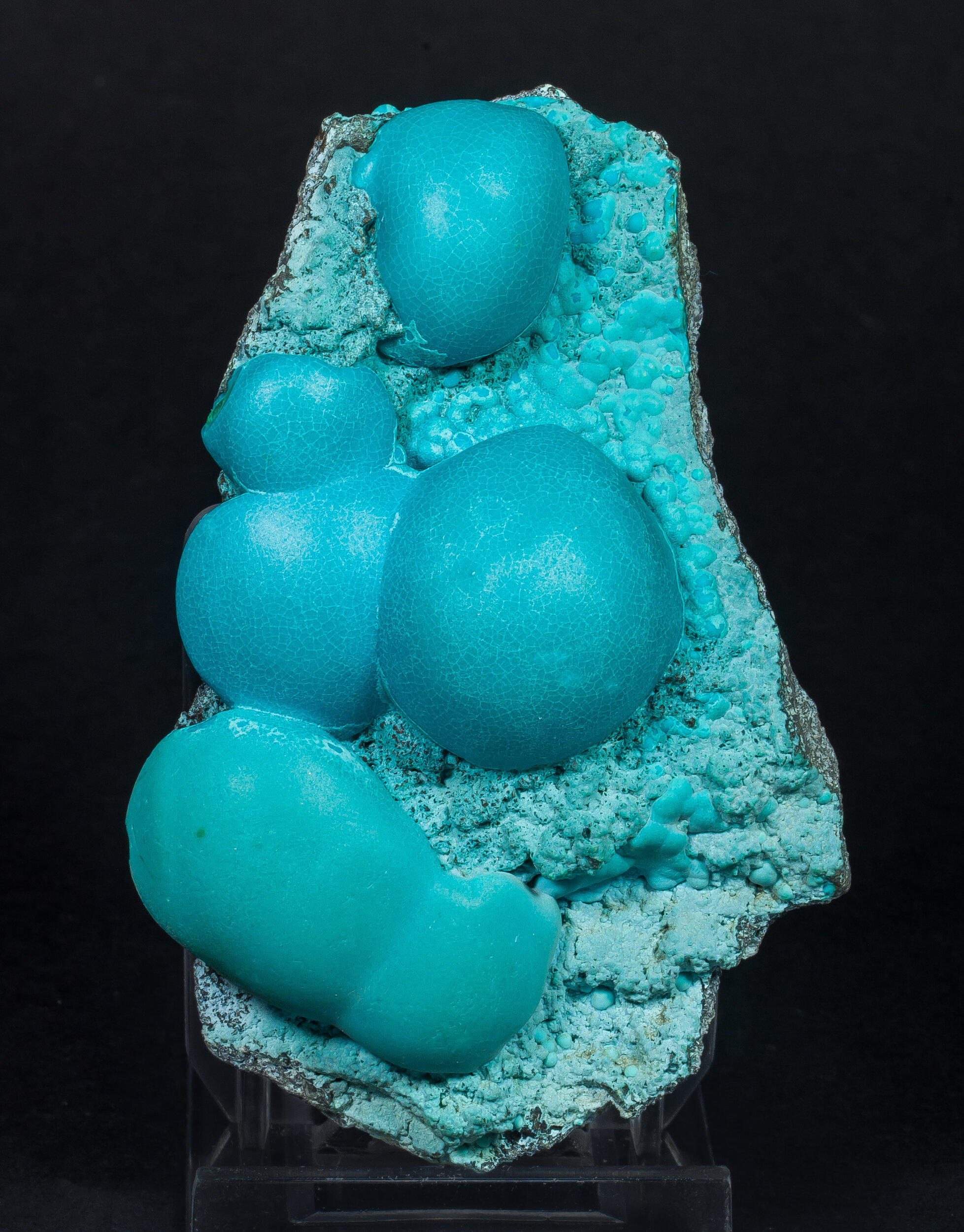 specimens/s_imagesAP0/CHrysocolla-ELP69AP0s.jpg