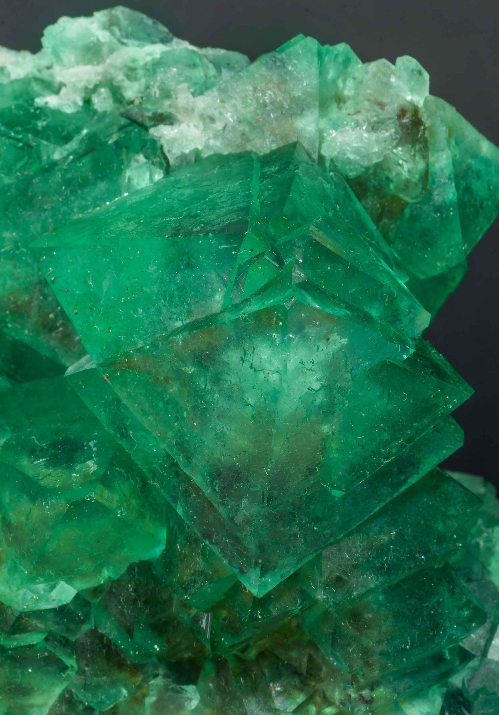 specimens/s_imagesAP0/Fluorite-EBM96AP0d.jpg