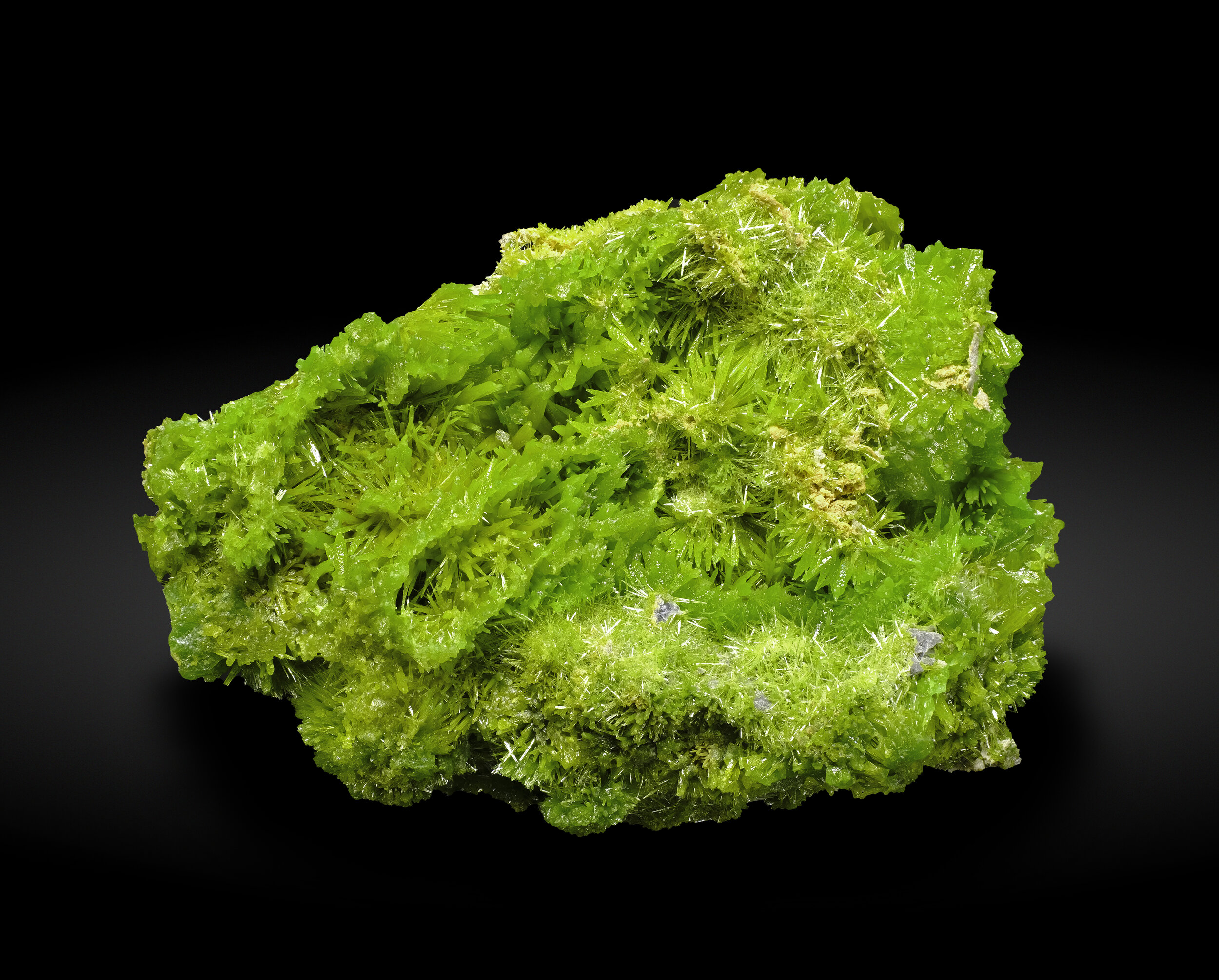 specimens/s_imagesAP0/Pyromorphite-EMP27AP0_2667_f.jpg