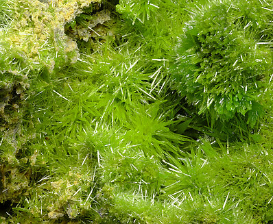 Pyromorphite. Detail / Photo: Joaquim Calln