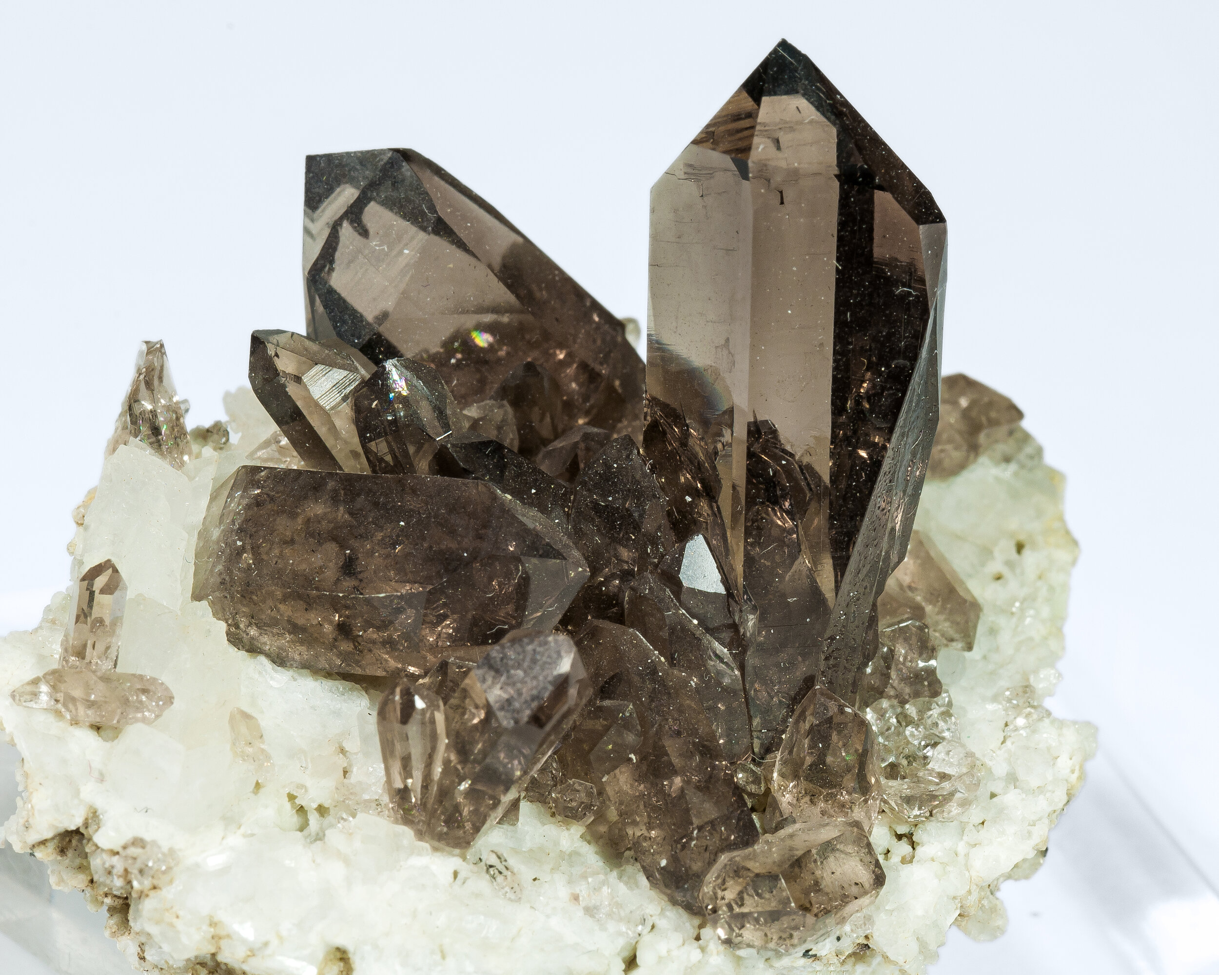 specimens/s_imagesAP0/Quartz_smoky-ERB36AP0d.jpg