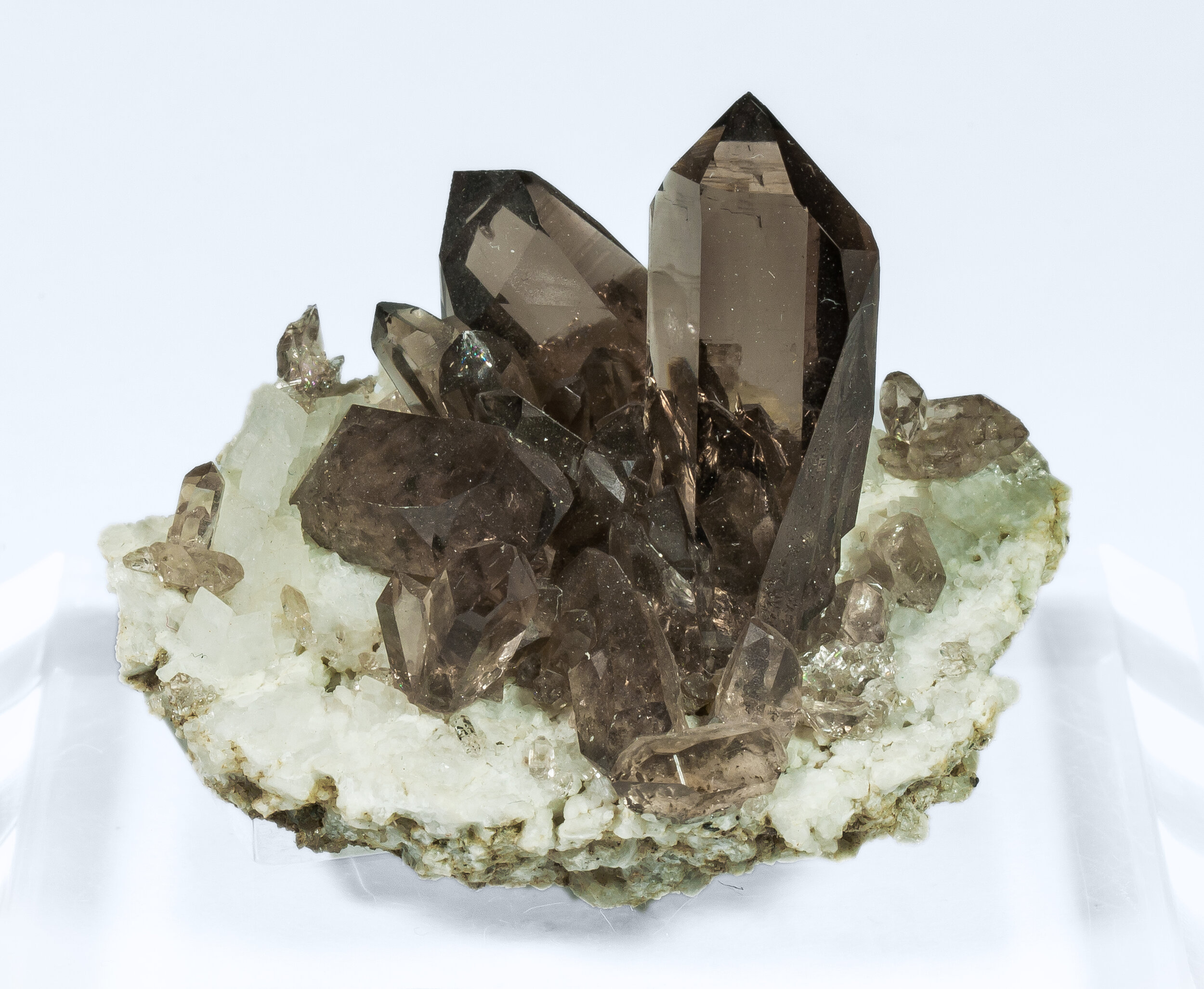 specimens/s_imagesAP0/Quartz_smoky-ERB36AP0f.jpg