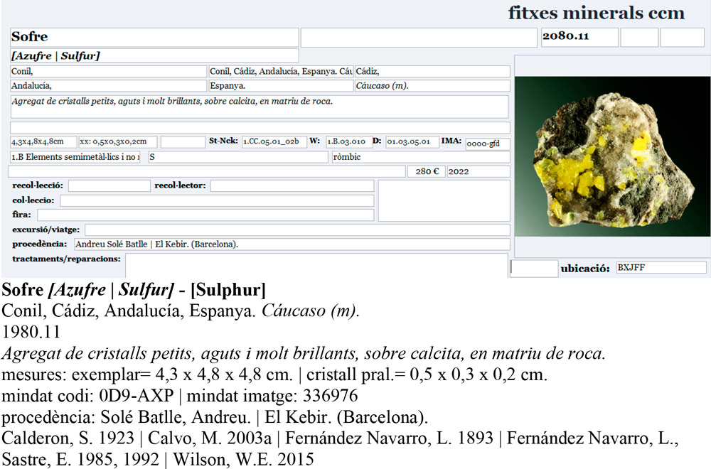 specimens/s_imagesAP0/Sulphur-CBR96AP0e.jpg