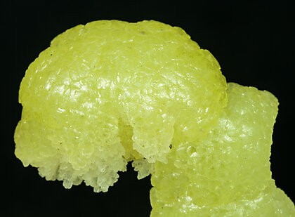 Brucite with Dypingite. 