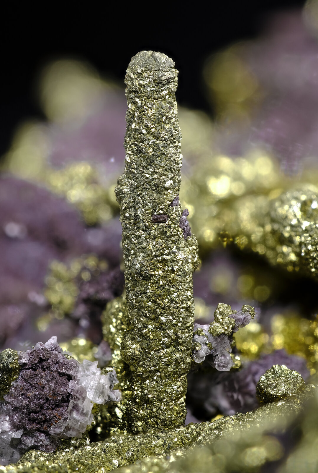 specimens/s_imagesAP1/Chalcopyrite-EXL92AP1_5548_d.jpg