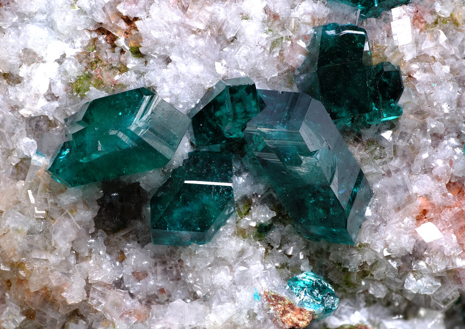 specimens/s_imagesAP1/Dioptase-CFB26AP1_2019_d.jpg