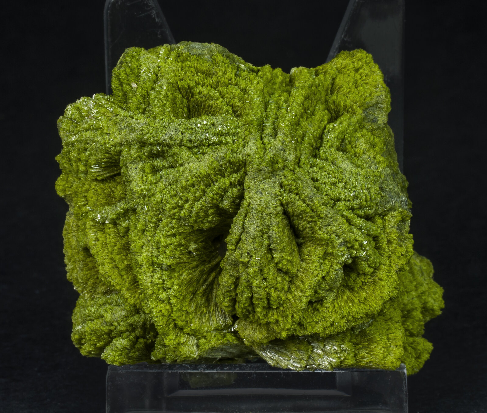 specimens/s_imagesAP1/Epidote-ECD47AP1f.jpg