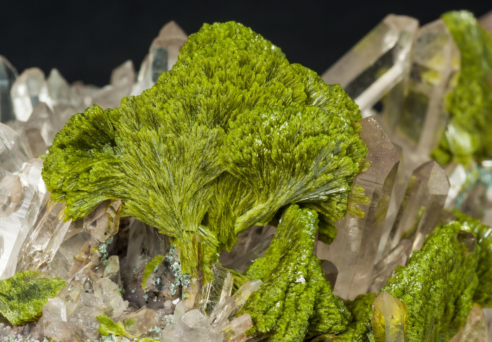 specimens/s_imagesAP1/Epidote-EFM67AP1d1.jpg