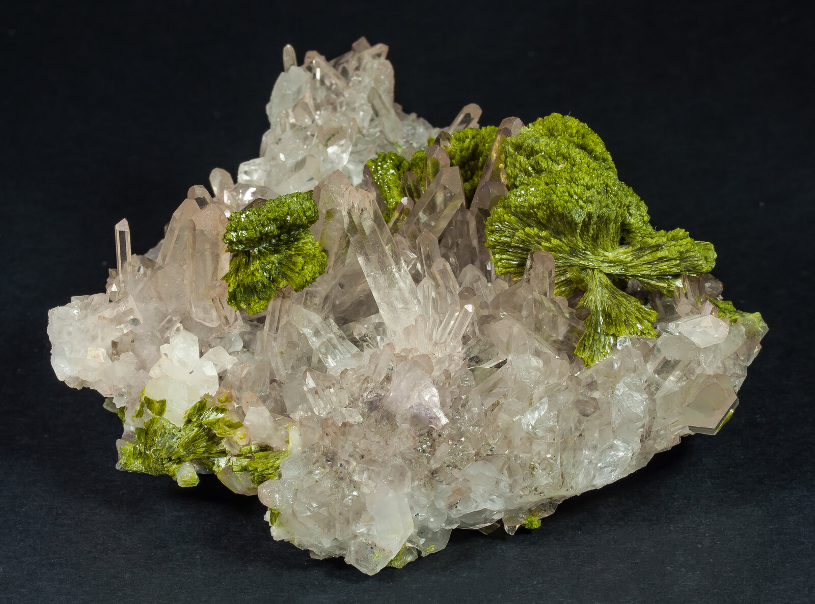 specimens/s_imagesAP1/Epidote-EFM67AP1f.jpg