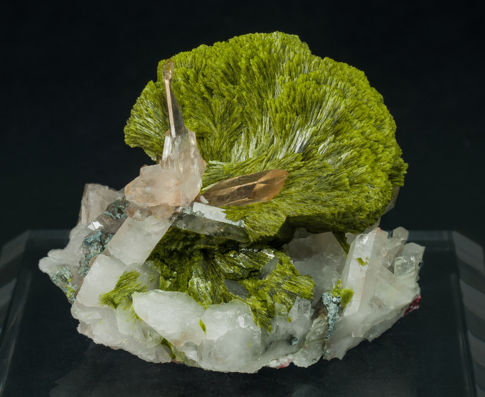 specimens/s_imagesAP1/Epidote-EPQ37AP1r.jpg