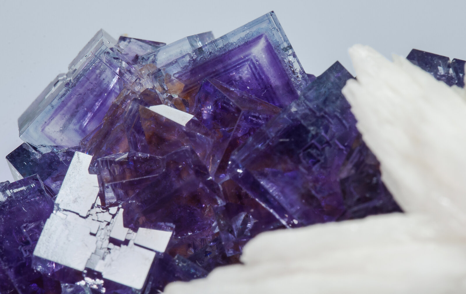 specimens/s_imagesAP1/Fluorite-ELB68AP1d.jpg