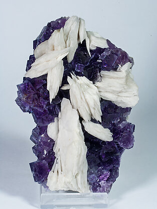 Fluorite with Baryte. Side