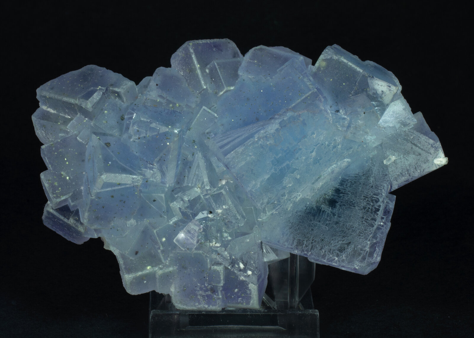 specimens/s_imagesAP1/Fluorite-NRT88AP1s.jpg