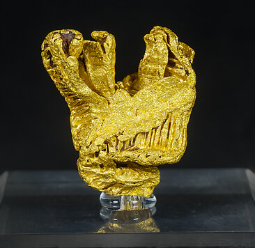 Gold. Front
