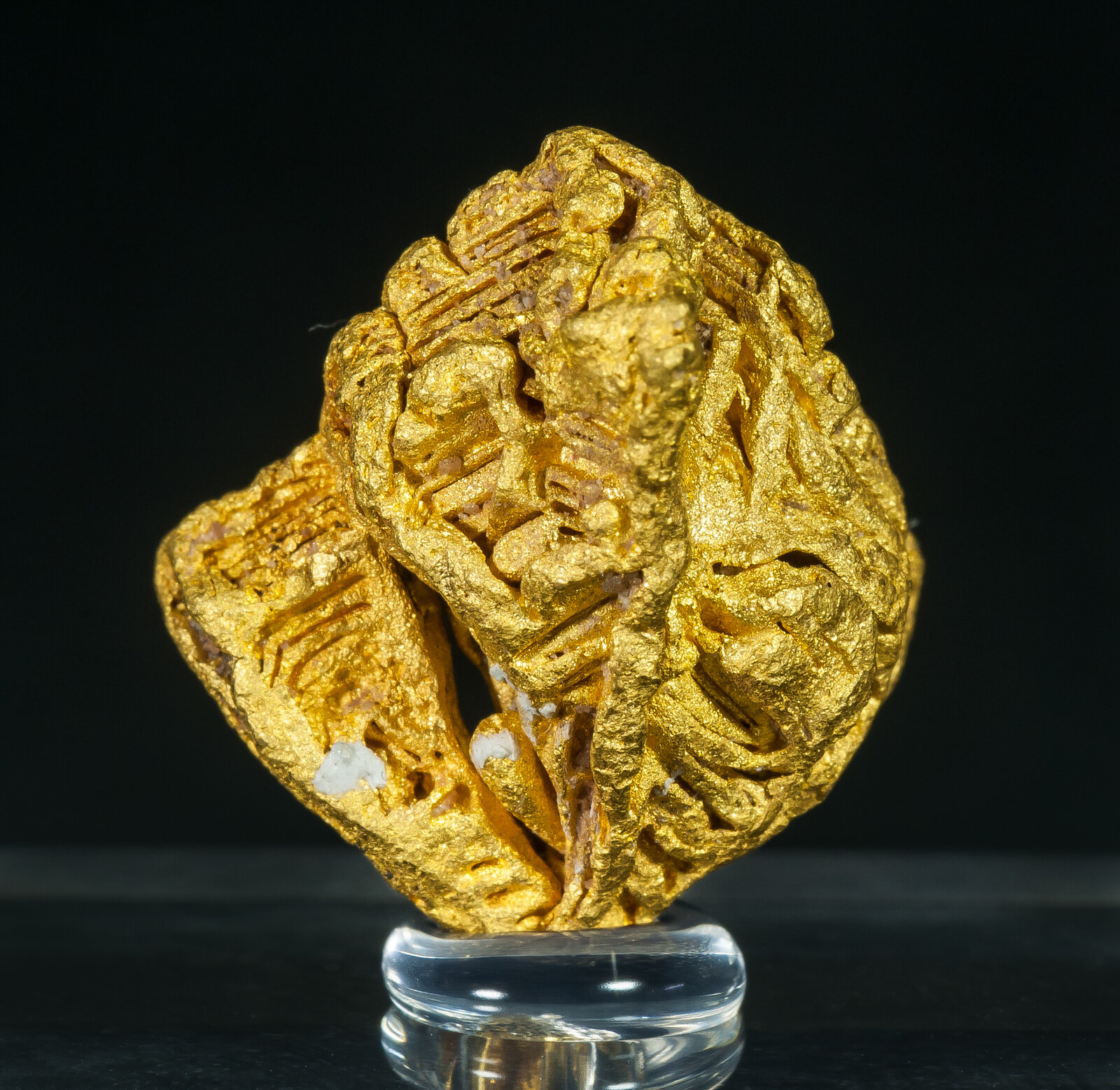 specimens/s_imagesAP1/Gold-ETX36AP1f.jpg