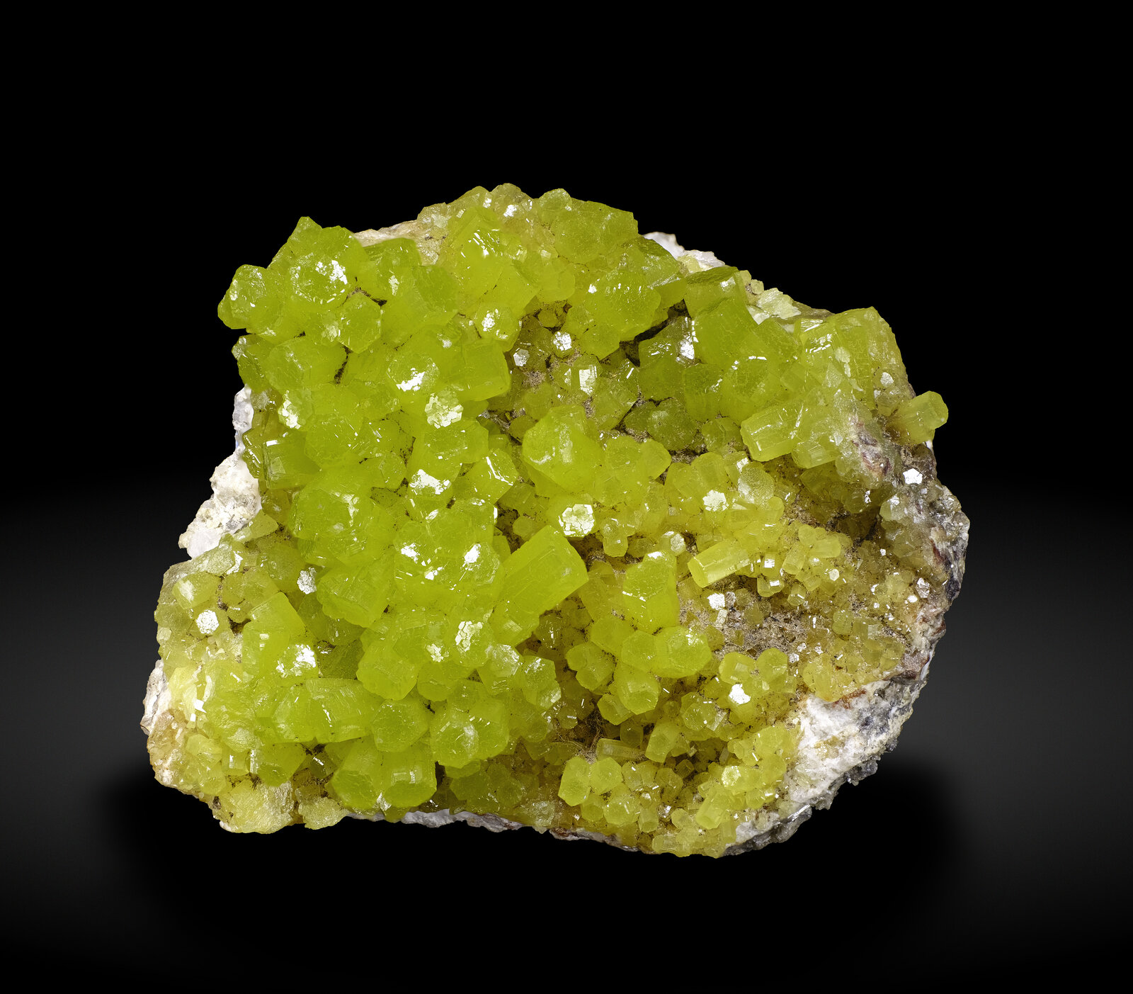 specimens/s_imagesAP1/Pyromorphite-CXF86AP1_2097_f.jpg