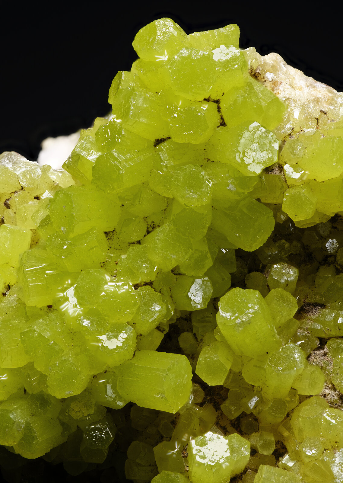 specimens/s_imagesAP1/Pyromorphite-CXF86AP1_2166_d.jpg