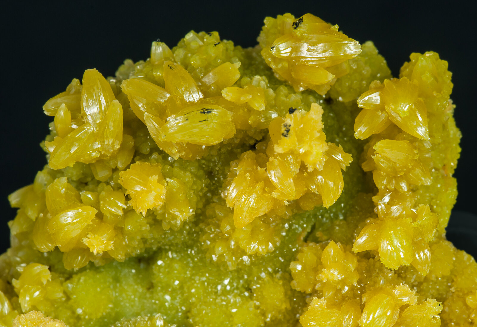 specimens/s_imagesAP1/Pyromorphite-EYB67AP1d1.jpg