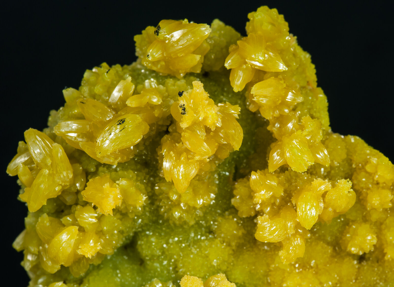 specimens/s_imagesAP1/Pyromorphite-EYB67AP1d2.jpg