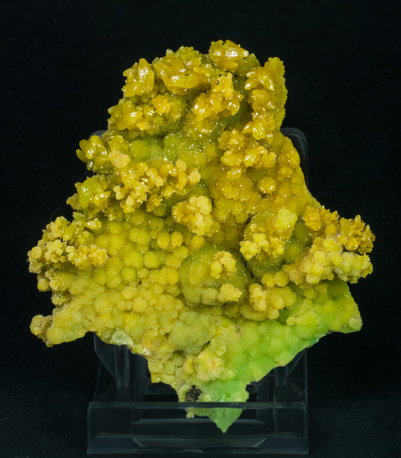 specimens/s_imagesAP1/Pyromorphite-EYB67AP1s.jpg