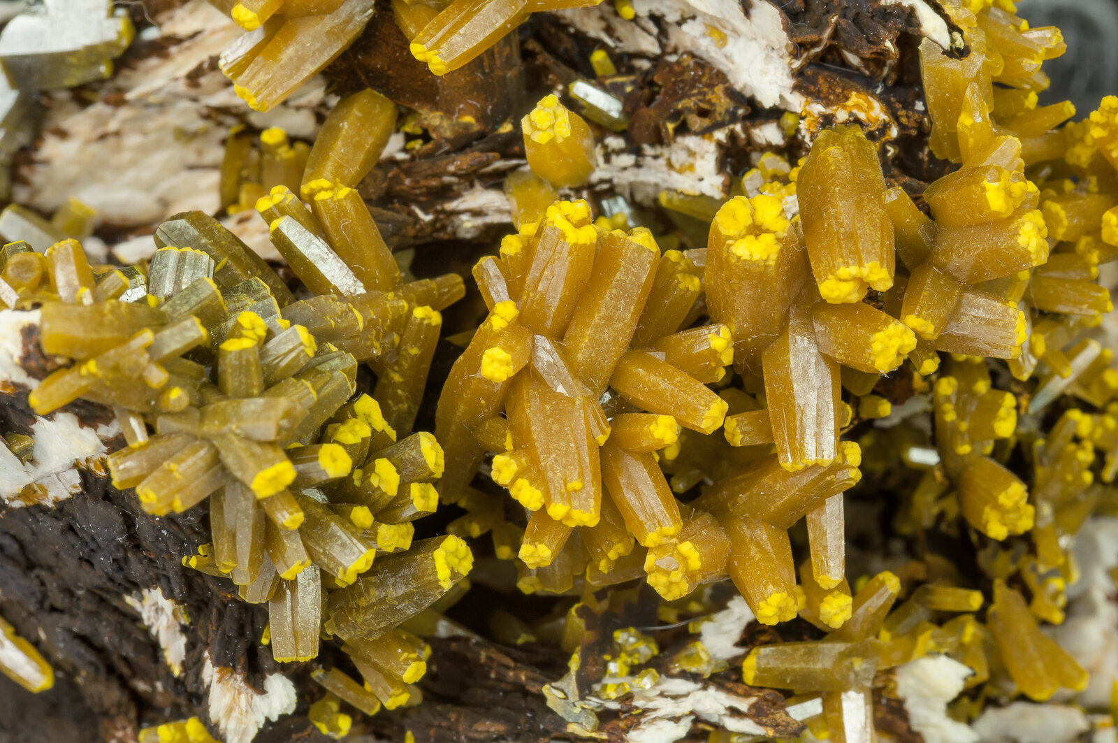 specimens/s_imagesAP1/Pyromorphite-TBB16AP1d.jpg