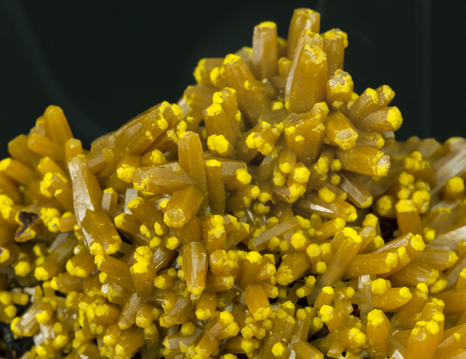 specimens/s_imagesAP1/Pyromorphite-TFB68AP1d.jpg