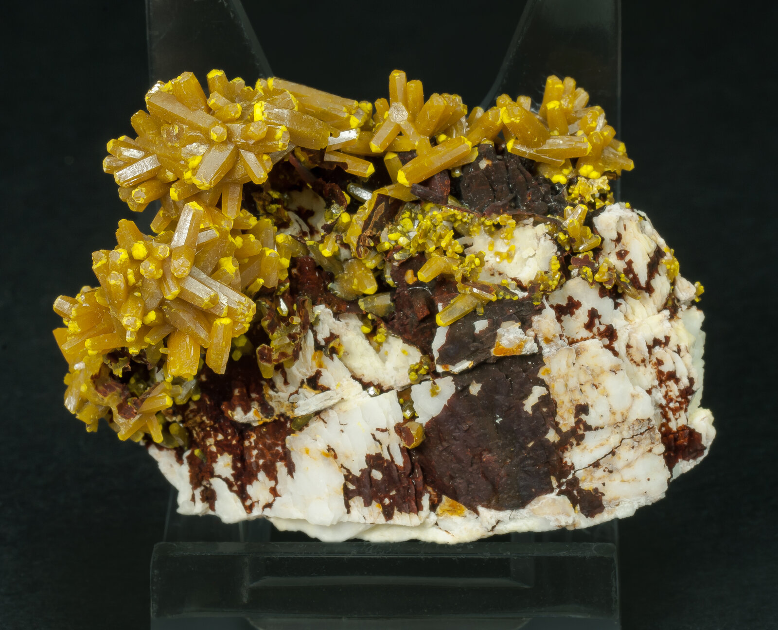 specimens/s_imagesAP1/Pyromorphite-TFB68AP1r.jpg