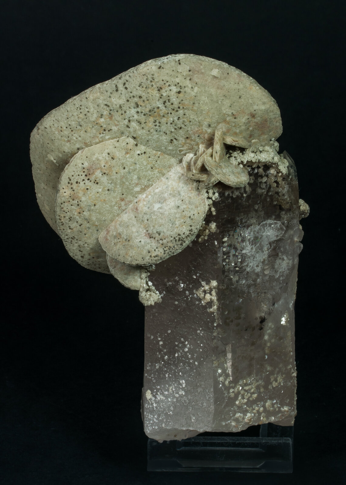 specimens/s_imagesAP1/Siderite-EXB67AP1r.jpg