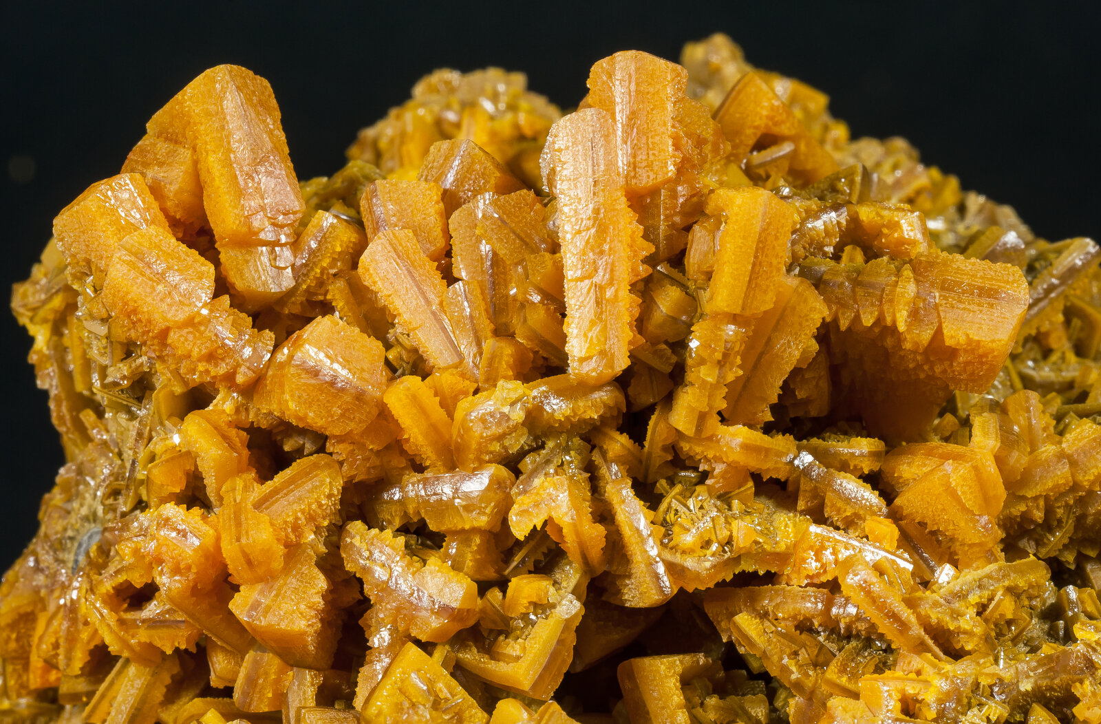 specimens/s_imagesAP1/Wulfenite-BTR46AP1d1.jpg