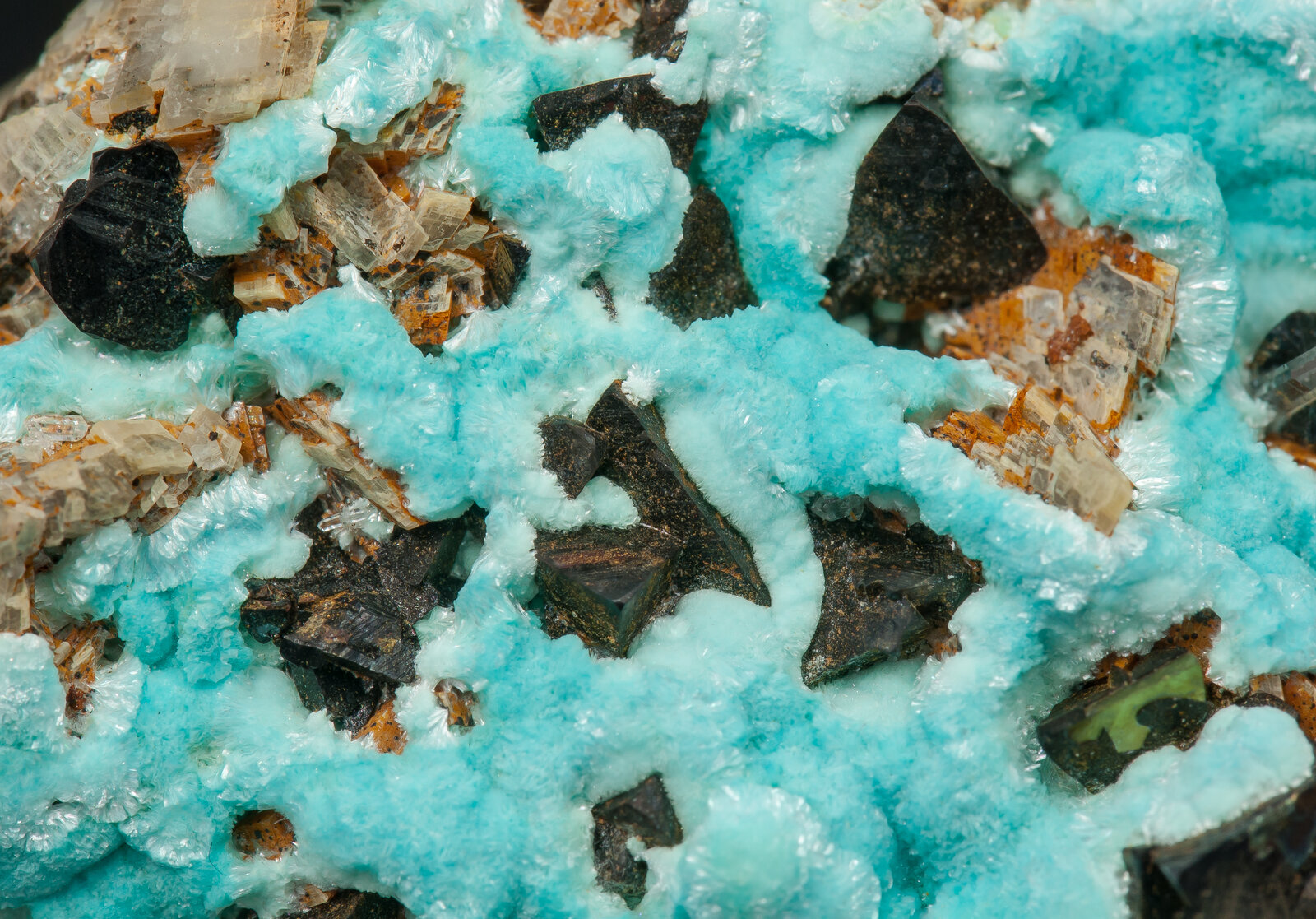 specimens/s_imagesAP2/Aurichalcite-EFM67AP2d.jpg